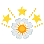stella che brilla + fiore