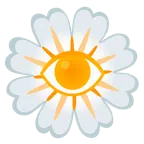 fiore + occhio