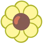 fiore + avocado