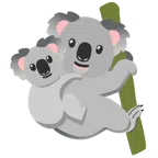 koala + koala