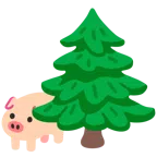 หน้าหมู + ต้นสน