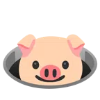 หน้าหมู + หลุม