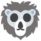 teschio + leone
