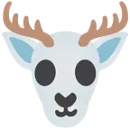 teschio + cervo