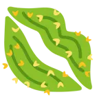 impronta della bocca + cactus