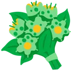 mazzo di fiori + microbo