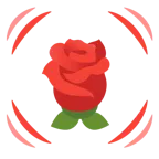 cuore che batte + rosa