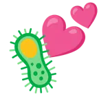 due cuori + microbo