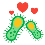 cuori che girano + microbo