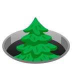 buco + albero sempreverde