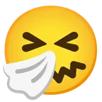 sorriso a bocca aperta con occhi chiusi + faccina che starnutisce
