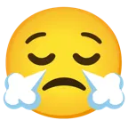 relieved face + face with steam from nose