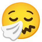 relieved face + sneezing face