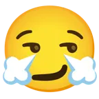 smirking face + face with steam from nose