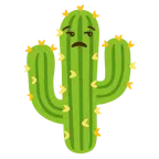 faccina contrariata + cactus