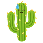 faccina abbattuta sudata + cactus