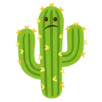 faccina confusa + cactus