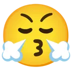 kissing face + face with steam from nose