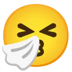 kissing face + sneezing face