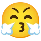 kissing face with smiling eyes + face with steam from nose