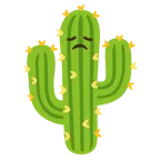 faccina delusa + cactus