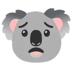 faccina preoccupata + koala