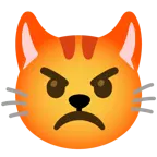 faccina accigliata + muso di gatto