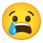 faccina che piange + faccina esausta