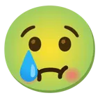 faccina che piange + faccina nauseata