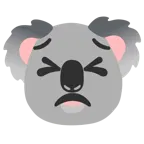 faccina perseverante + koala
