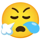 faccina che sbuffa + faccina assonnata