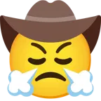faccina che sbuffa + faccina con cappello da cowboy