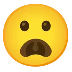 frowning face with open mouth + frowning face with open mouth