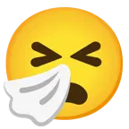 faccina imbronciata con bocca aperta + faccina che starnutisce