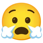 faccina angosciata + faccina che sbuffa