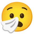 faccina angosciata + faccina che starnutisce