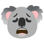 faccina esausta + koala