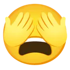faccina esausta + non vedo