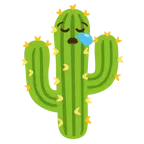 sleepy face + cactus