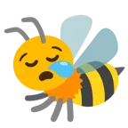 sleepy face + honeybee