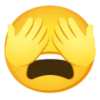 faccina stanca + non vedo
