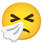 faccina leggermente imbronciata + faccina che starnutisce
