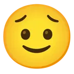 slightly smiling face + worried face