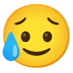 slightly smiling face + sad but relieved face