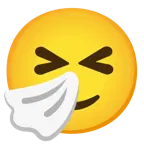 slightly smiling face + sneezing face
