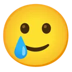 slightly smiling face + smiling face with tear