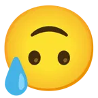 upside-down face + downcast face with sweat