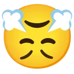 upside-down face + face with steam from nose