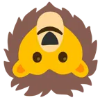 upside-down face + lion