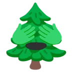 non vedo + albero sempreverde